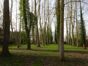 Terrains de loisirs bois etangs a vendre Nogent-le-Rotrou 28400 Eure-et-Loir 28 26500 euros NOG 1039 001
