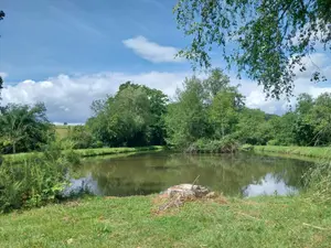 Terrains de loisirs bois etangs a vendre Le Genest-Saint-Isle 53940 Mayenne 53 66688 euros 53090-1063 001