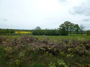 Terrain a batir a vendre Méasnes 23360 Creuse 23 5000 m2 21200 euros 11825/233 001