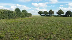 Terrain a batir a vendre Champfleury 10700 Aube 10 20270 euros 1002712 001
