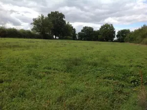Terrain a batir a vendre Chaillac 36310 Indre 36 9298 m2 40810 euros 037/1279 001