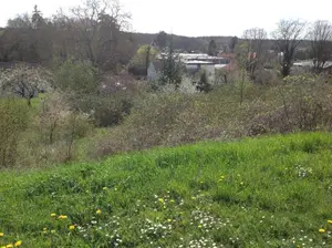 Terrain a batir a vendre Saint-Gaultier 36800 Indre 36 860 m2 14430 euros 037/1697 001
