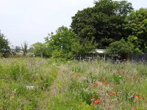 Terrain a batir a vendre Cuts 60400 Oise 60 44000 euros 60056-352311 001