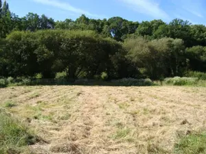 Terrain a batir a vendre Pontivy 56300 Morbihan 56 25500 euros 127b 001