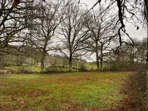 Terrain a batir a vendre Mauriac 15200 Cantal 15 31800 euros 15060/907 001