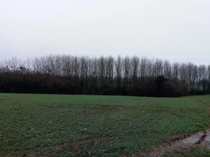 Divers a vendre Vimartin-sur-Orthe 53160 Mayenne 53 3600 euros 805 001