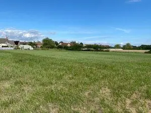 Terrains de loisirs bois etangs a vendre Vendœuvres 36500 Indre 36 18400 euros 1043364 001