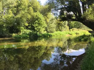 Terrains de loisirs bois etangs a vendre Buzançais 36500 Indre 36 13800 euros 1044248BIS 001