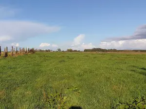 Terrain a batir a vendre Callengeville 76270 Seine-Maritime 76 1257 m2 24380 euros 76077-TB00814 001