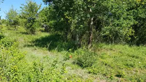Terrain a batir a vendre Saint-Loup 41320 Loir-et-Cher 41 48300 euros 41036/2501 001