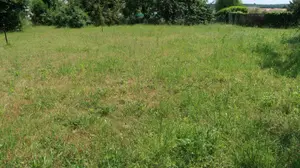 Terrain a batir a vendre Thuré 86540 Vienne 86 400 m2 30000 euros 86024-TEBA2180 001
