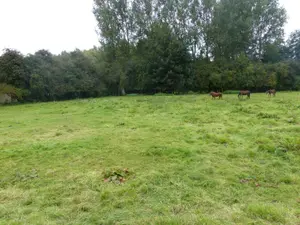 Terrain a batir a vendre Anvin 62134 Pas-de-Calais 62 544 m2 37520 euros 2191 001