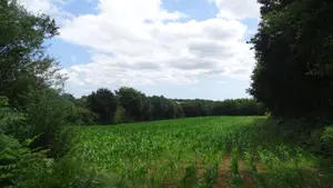 Terrain a batir a vendre Landivisiau 29400 Finistère 29 81400 euros 3972 001