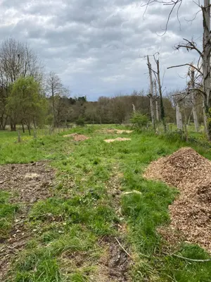 Terrains de loisirs bois etangs a vendre Bossay-sur-Claise 37290 Indre-et-Loire 37 5000 euros 1040791 001