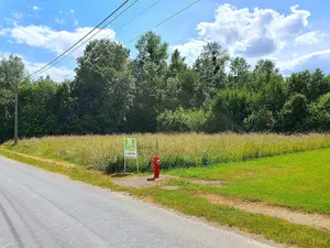 Terrain a batir a vendre Courdemanges 51300 Marne 51 870 m2 28000 euros 51081/814 001