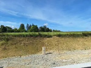 Terrain a batir a vendre Onjon 10220 Aube 10 827 m2 26310 euros 10378/1200 001