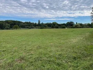 Terrain a batir a vendre Cour-Cheverny 41700 Loir-et-Cher 41 550 m2 49000 euros 001/2117 001