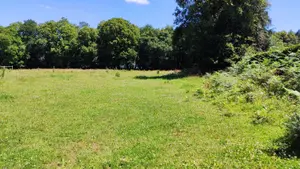 Terrain a batir a vendre Bieuzy 56310 Morbihan 56 28000 euros 065/1797 001