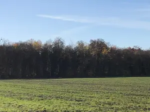 Terrains de loisirs bois etangs a vendre Farges-lès-Chalon 71150 Saône-et-Loire 71 22500 euros 13783/526 001