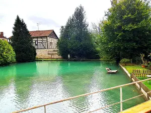 Maison a vendre Soulaines-Dhuys 10200 Aube 10 265 m2 299000 euros 51081/838 001