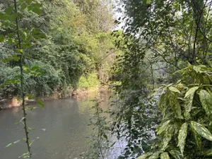 Terrains de loisirs bois etangs a vendre Vernou-sur-Brenne 37210 Indre-et-Loire 37 18900 euros 2024/1992 001