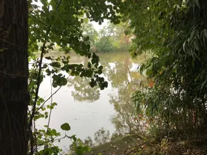 Maison a vendre Le Mans 72000 Sarthe 72 97 m2 5 pièces 209000 euros 079/1942 001