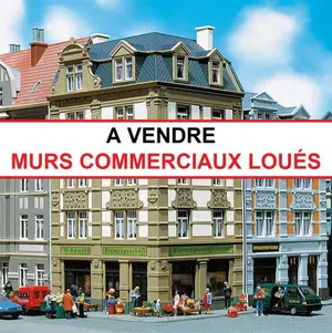 Immeuble de rapport a vendre Le Mans 72000 Sarthe 72 300 m2 210000 euros 72122-1335 001