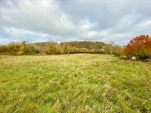 Terrain a batir a vendre Alençon 61000 Orne 61 59900 euros 61001-935437 001