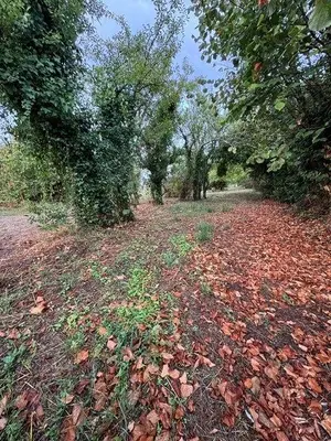 Terrain a batir a vendre Lignières 18160 Cher 18 16000 euros 18022/775 001