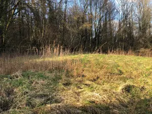 Terrain a batir a vendre Fains-Véel 55000 Meuse 55 1028 m2 33600 euros 55008/33 001