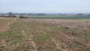 Terrain a batir a vendre Rethel 08300 Ardennes 08 54000 euros 10315/593 001