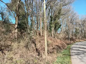 Terrains de loisirs bois etangs a vendre Saint-Fraimbault-de-Prières 53300 Mayenne 53 2500 euros 53075DLS23011 001