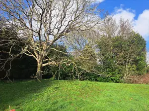 Terrain a batir a vendre Quimperlé 29300 Finistère 29 49773 euros 29114-1075452 001
