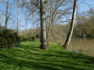 Terrains de loisirs bois etangs a vendre Courçay 37310 Indre-et-Loire 37 15900 euros 11893/483 001