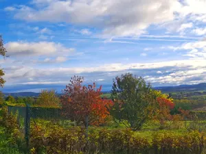 Terrain a batir a vendre Aulhat-Saint-Privat 63500 Puy-de-Dôme 63 81000 euros 2025-45-2025159 001