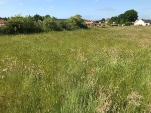 Terrain a batir a vendre Briosne-lès-Sables 72110 Sarthe 72 43200 euros 079/1972 001