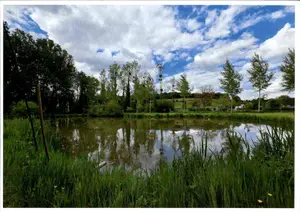 Terrains de loisirs bois etangs a vendre Raye-sur-Authie 62140 Pas-de-Calais 62 65000 euros 62140-850 001