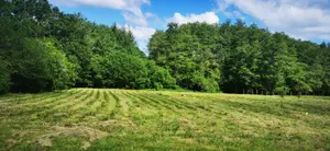 Terrain a batir a vendre Bazas 33430 Gironde 33 50400 euros 32632-2 001