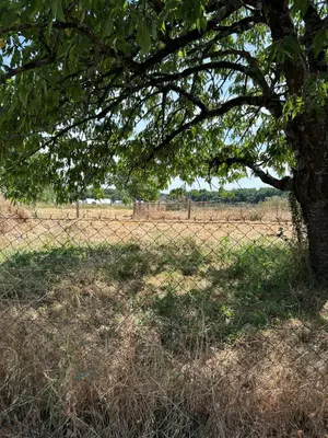 Terrain a batir a vendre Thilouze 37260 Indre-et-Loire 37 728 m2 84700 euros 054/133 001