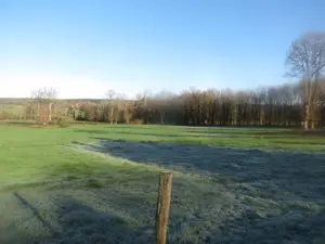 Terrain a batir a vendre Cournon 56200 Morbihan 56 1417 m2 48301 euros 009/1073 001