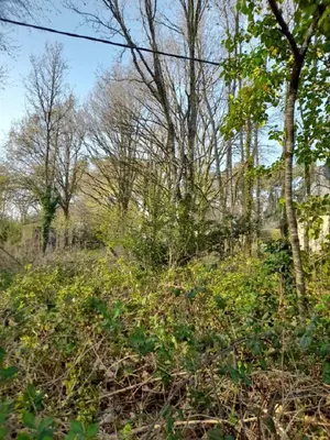 Terrain a batir a vendre La Gacilly 56200 Morbihan 56 1182 m2 44370 euros 009/1206 001
