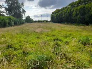 Terrain a batir a vendre La Gacilly 56200 Morbihan 56 1110 m2 81740 euros 009/1214 001