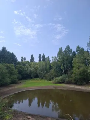 Terrains de loisirs bois etangs a vendre Malicorne 03600 Allier 03 19617 m2 45580 euros 18016/1981 001