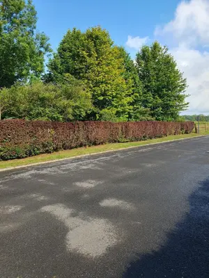 Terrain a batir a vendre Hannogne-Saint-Martin 08160 Ardennes 08 1829 m2 76000 euros 51083//960 001
