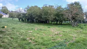 Terrain a batir a vendre Carentoir 56910 Morbihan 56 703 m2 31120 euros 009/1288 001