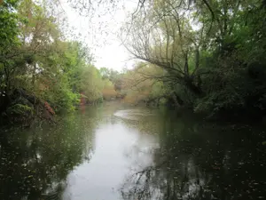 Terrains de loisirs bois etangs a vendre Troyes 10000 Aube 10 37310 euros 10377/920 001