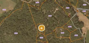 Terrains de loisirs bois etangs a vendre Saint-Amandin 15190 Cantal 15 40000 euros FG/2433 001