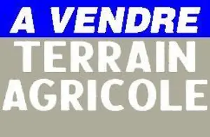 Bien agricole a vendre Châteauneuf-sur-Cher 18190 Cher 18 21460 euros 1052939CA 001
