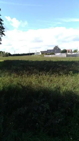 Terrain a batir a vendre Josnes 41370 Loir-et-Cher 41 688 m2 36000 euros 091/1405 001