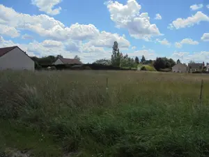 Terrain a batir a vendre Cravant 45190 Loiret 45 500 m2 43000 euros 091/1448 001